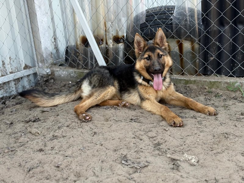 Blanka sucht ein Herz, das bleibt