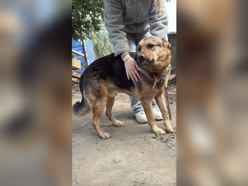 Berci sucht seine Menschen