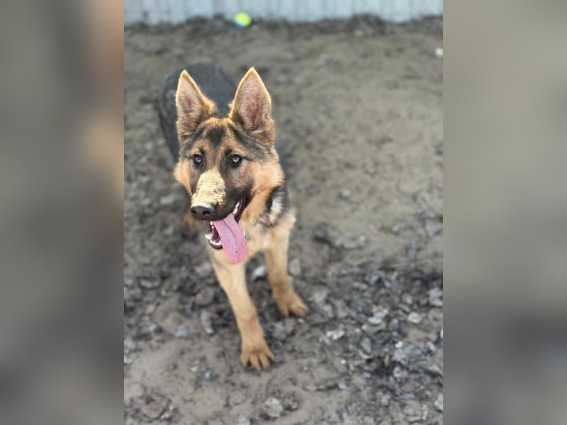 Blanka sucht ein Herz, das bleibt