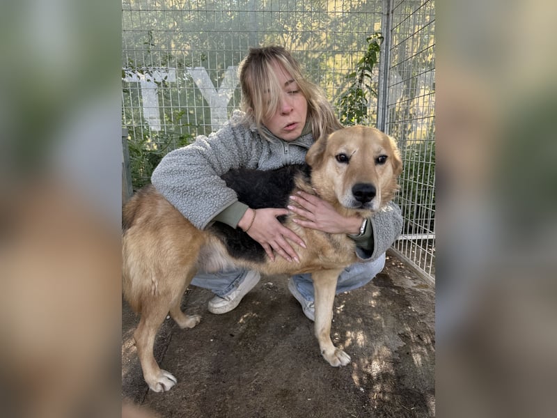 Jago wartet auf ihr Happy End