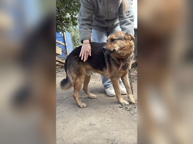 Berci sucht seine Menschen