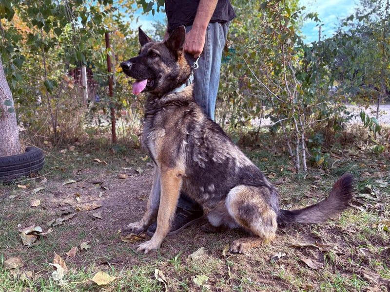 Mars - wer gibt ihm eine Chance?