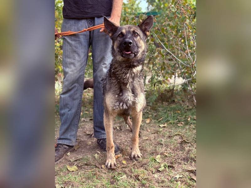 Mars - wer gibt ihm eine Chance?