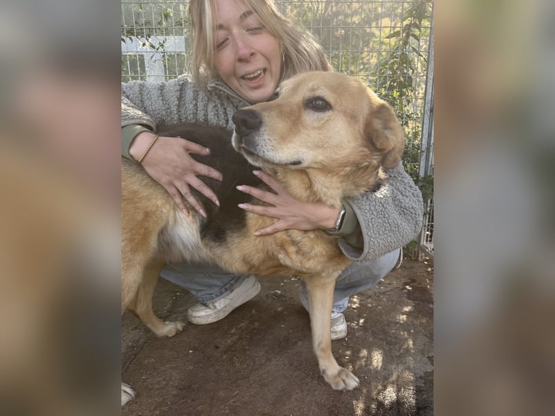 Jago - Pures Glück auf 3 Beinen