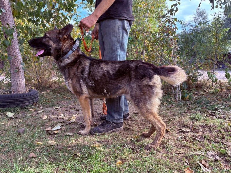 Mars - wer gibt ihm eine Chance?