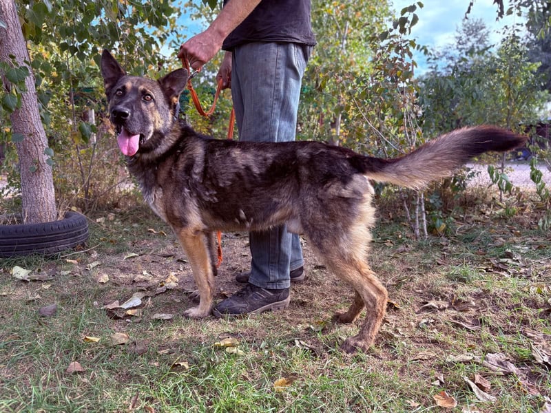Mars - voller Freude ins neue Zuhause
