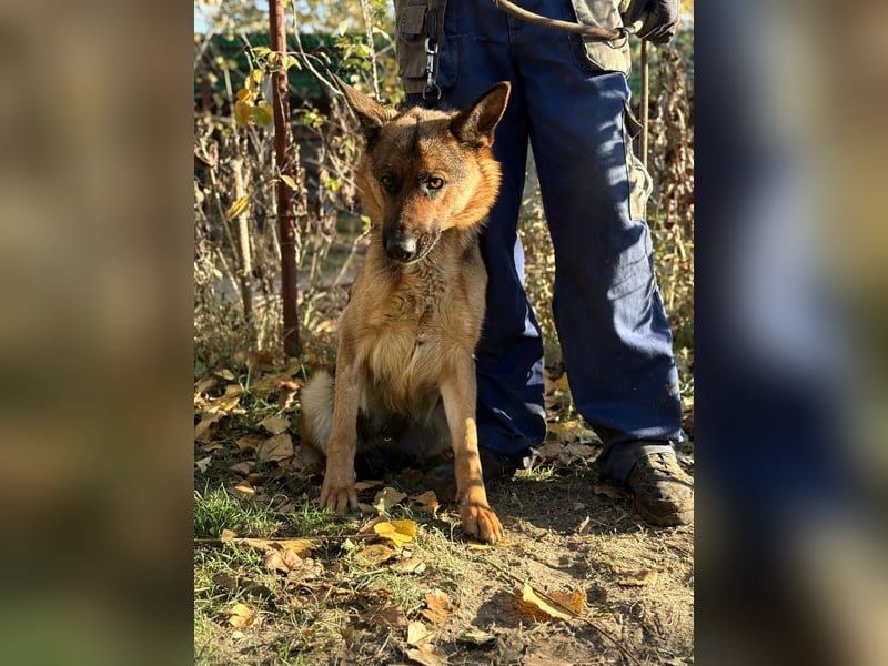 Vanilla - Muss sie diesen Winter wieder zittern?