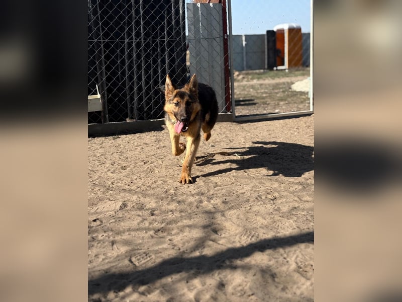 Blanka sucht ein Herz, das bleibt