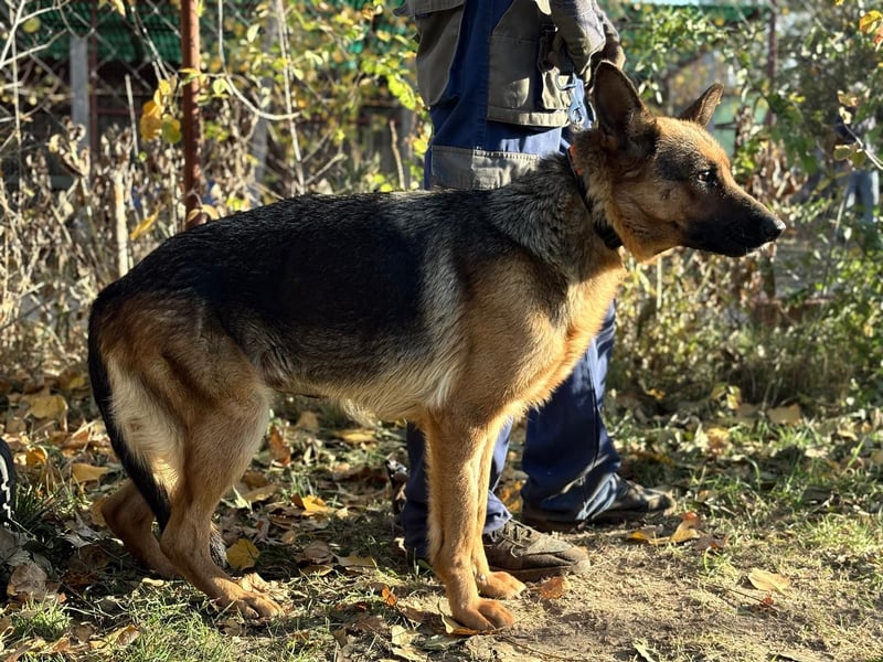 Vanilla - Muss sie diesen Winter wieder zittern?