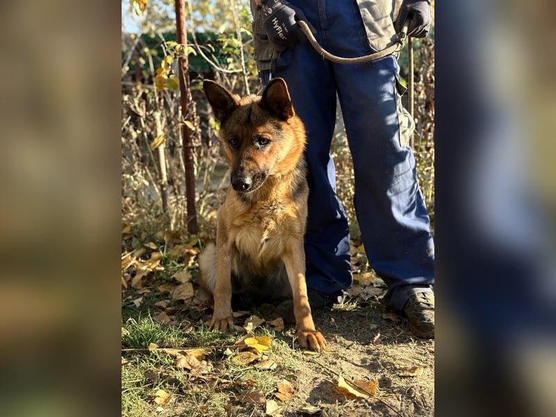 Vanilla - Muss sie diesen Winter wieder zittern?