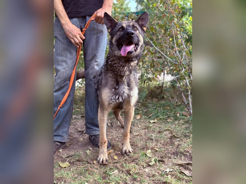 Mars - voller Freude ins neue Zuhause