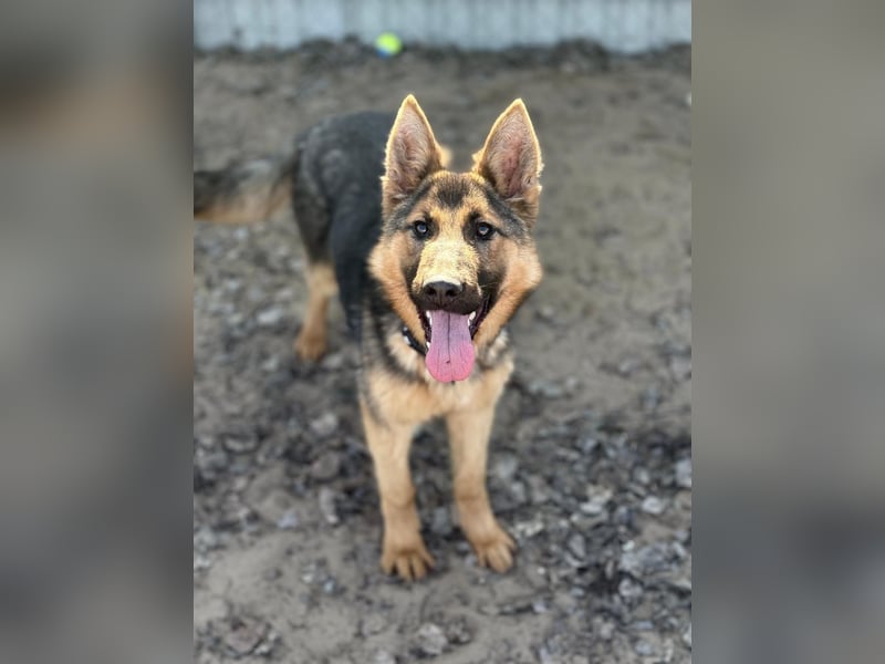 Blanka sucht ein Herz, das bleibt