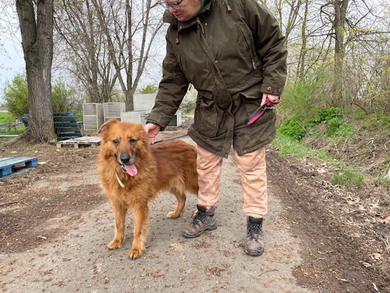 Zsömi sucht souveräne Menschen