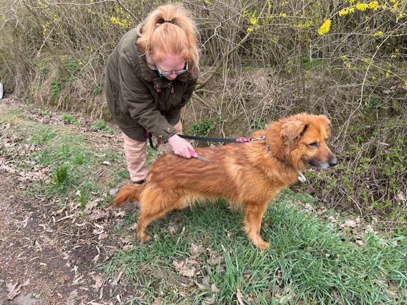 Zsömi sucht souveräne Menschen