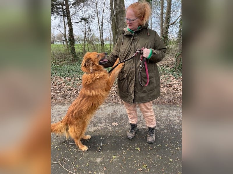 Zsömi sucht souveräne Menschen