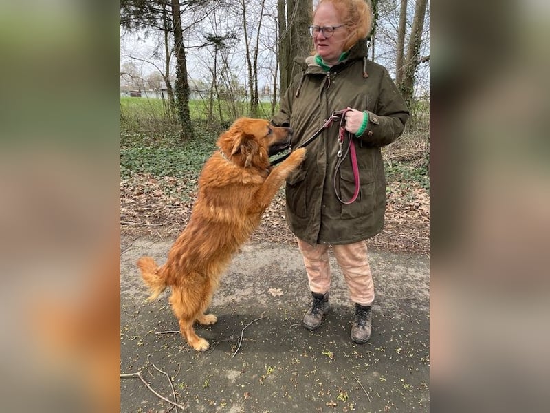 Zsömi sucht souveräne Menschen