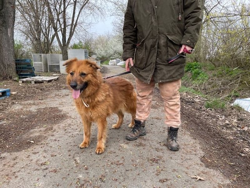 Zsömi sucht souveräne Menschen