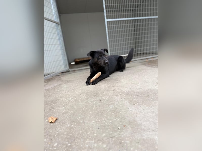 Theo- sucht seine Menschen!❤️
