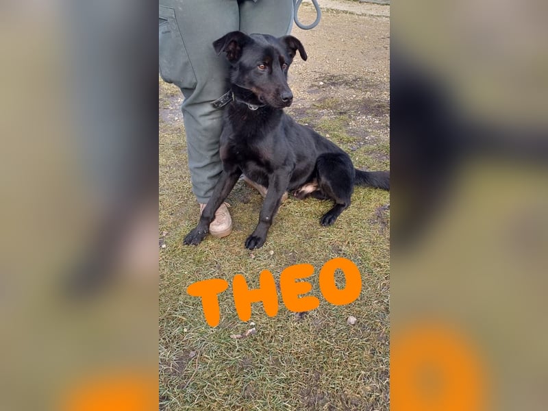 Theo- sucht seine Menschen!❤️