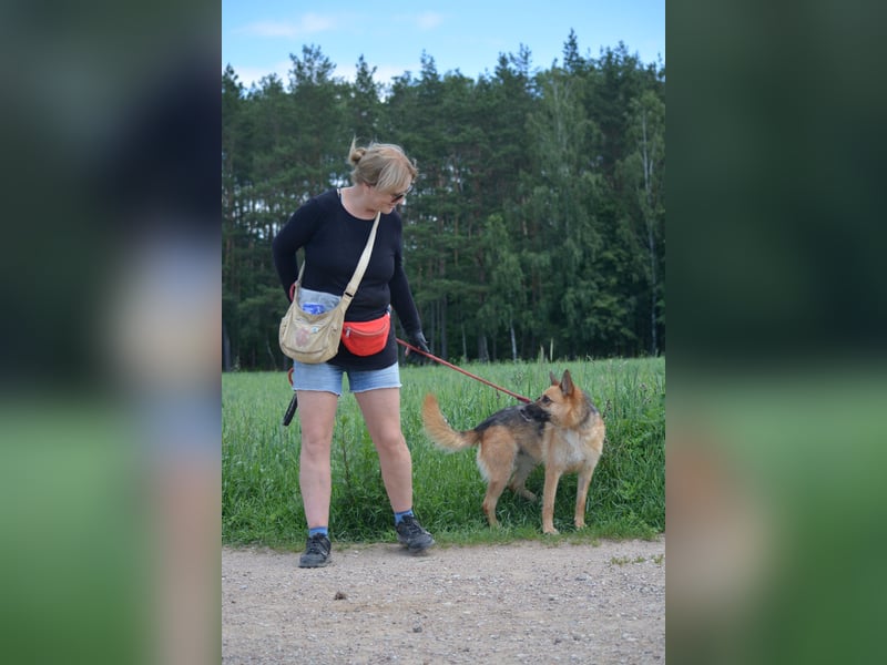 Hündin "Nutka", ca. 2023 geboren, ruhig, zurückhaltend, sucht Menschen mit Hundeverstand