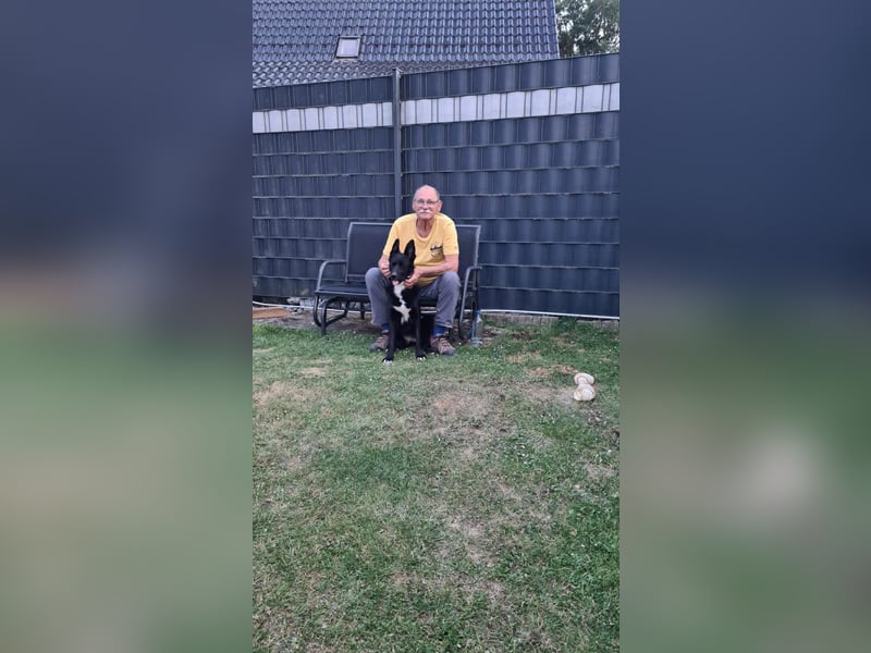 Dringend neues zuhause für Lana gesucht
