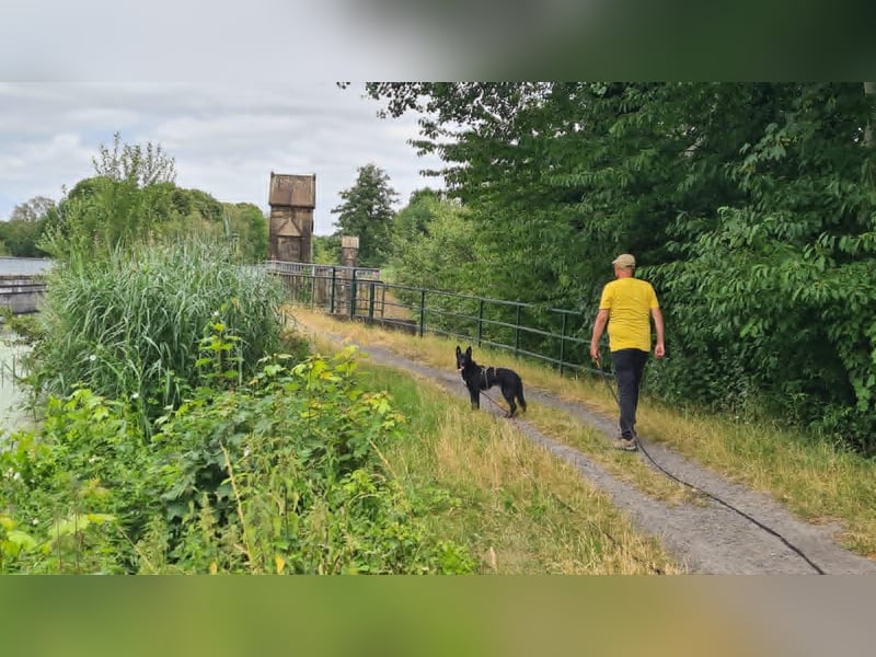 Dringend neues zuhause für Lana gesucht