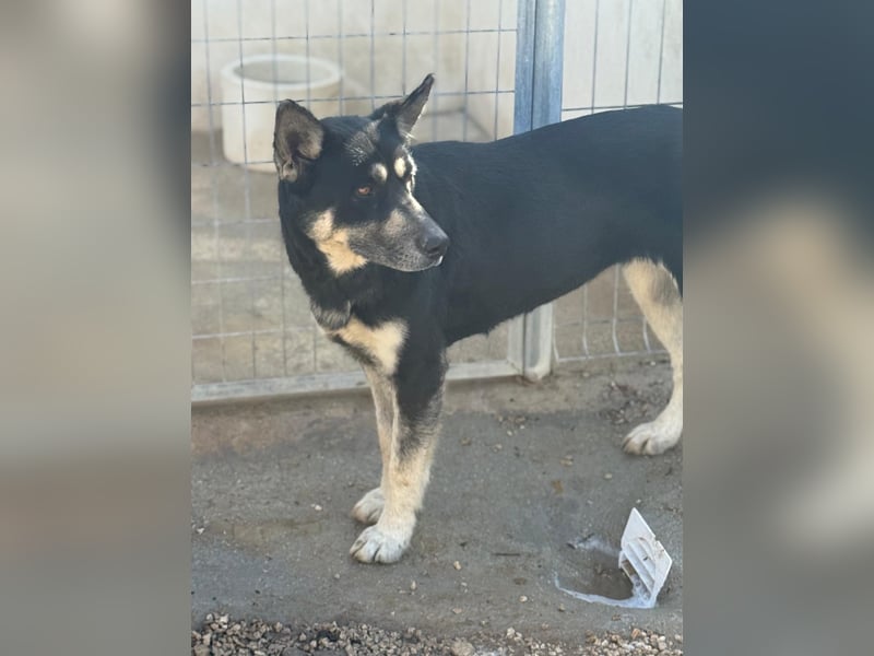 Leia, ein Herz voller Dankbarkeit