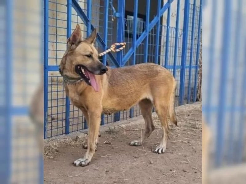 Lisa, wo darf Sie Geborgenheit finden