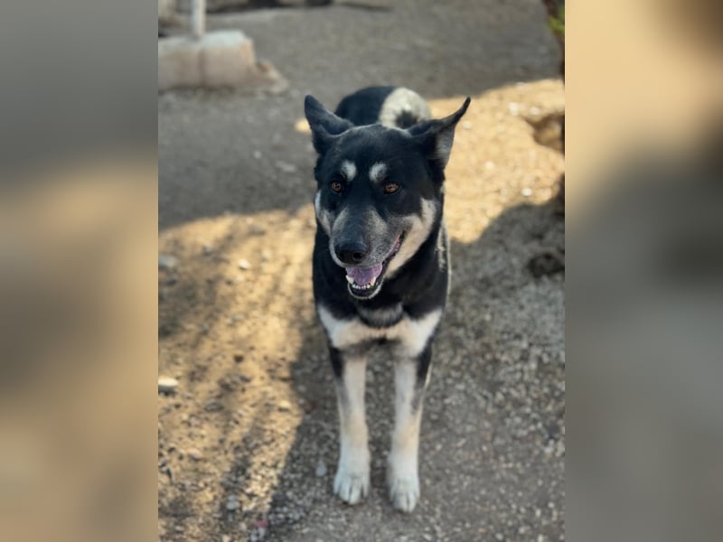 Leia, ein Herz voller Dankbarkeit