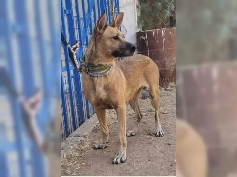 Lisa, wo darf Sie Geborgenheit finden