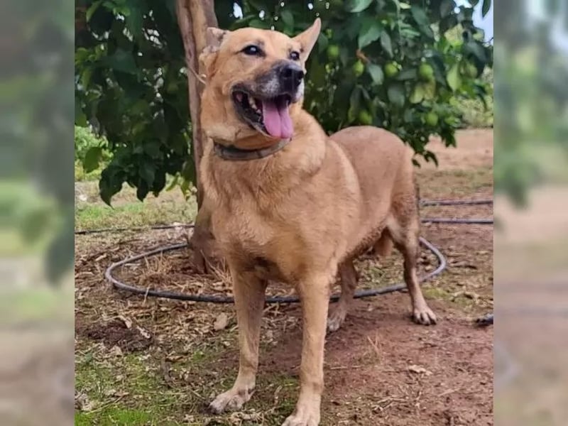 Lisa, wo darf Sie Geborgenheit finden