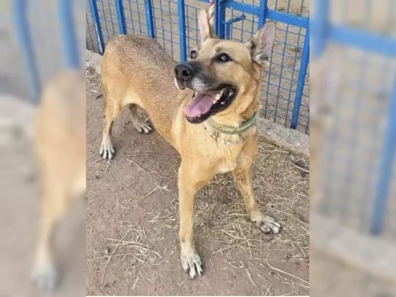 Lisa, wo darf Sie Geborgenheit finden