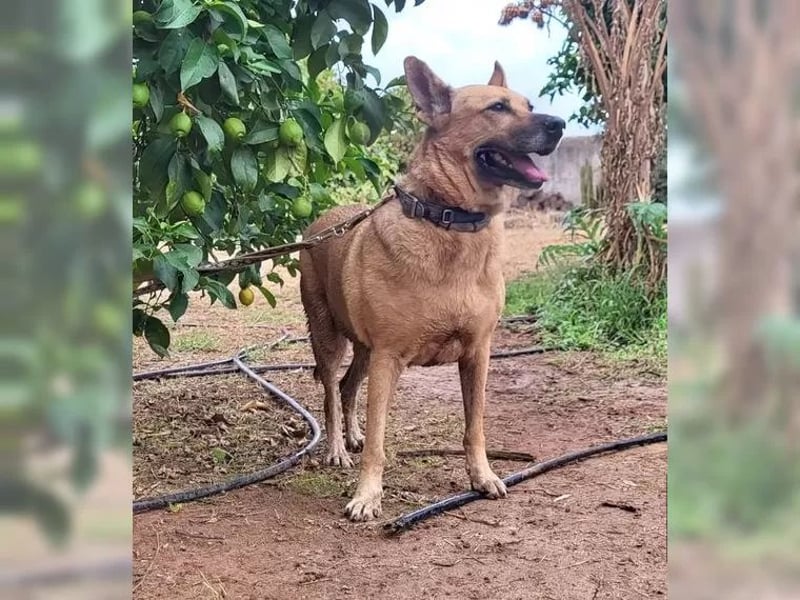 Lisa, wo darf Sie Geborgenheit finden