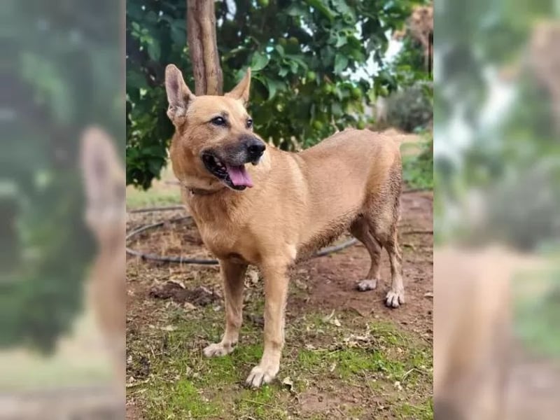 Lisa, wo darf Sie Geborgenheit finden