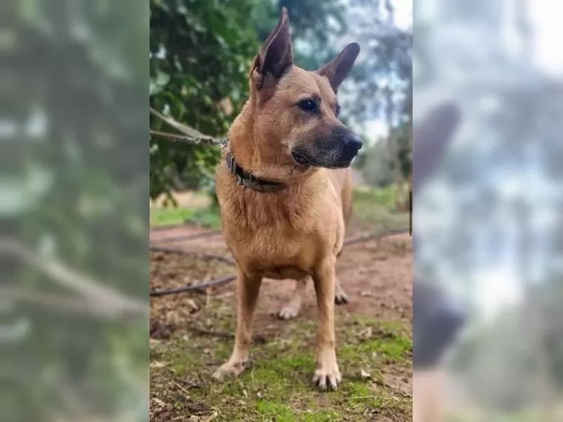 Lisa, wo darf Sie Geborgenheit finden