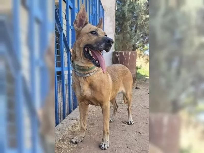 Lisa, wo darf Sie Geborgenheit finden