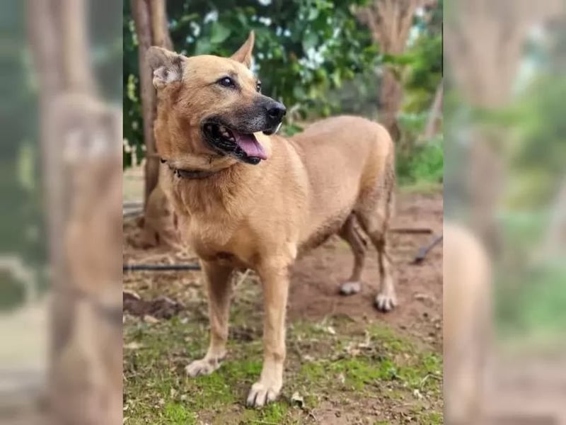 Lisa, wo darf Sie Geborgenheit finden