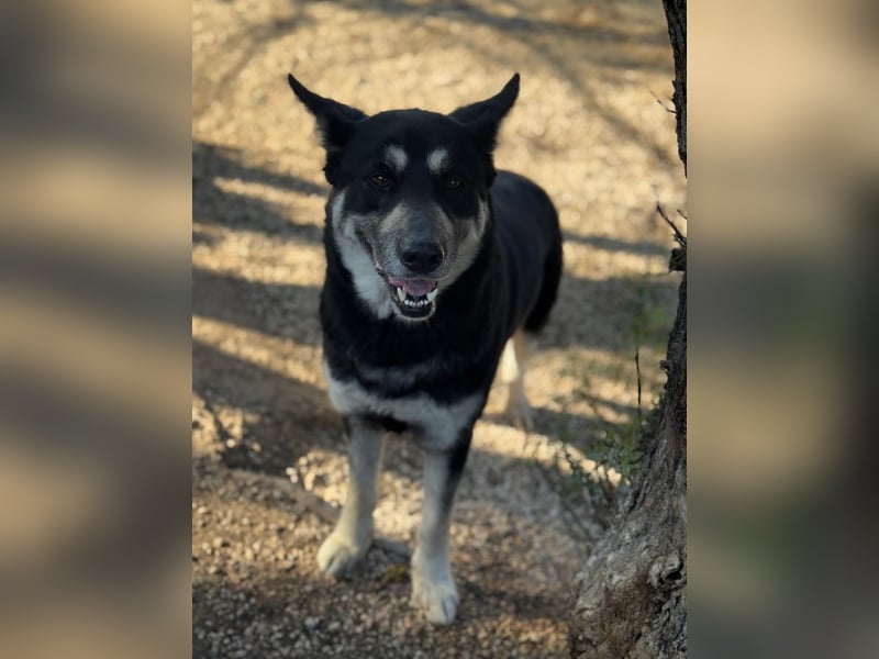 Leia, ein Herz voller Dankbarkeit