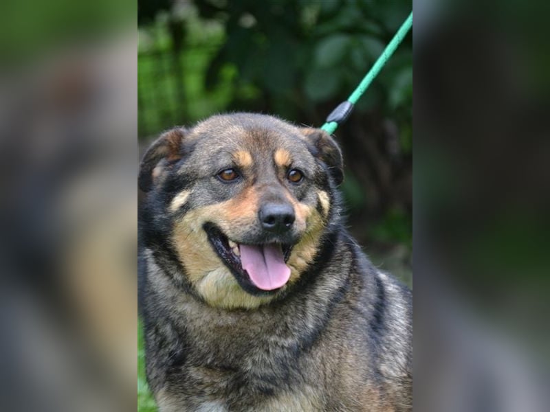 Flora SI - Ältere Lady möchte endlich nach Hause!