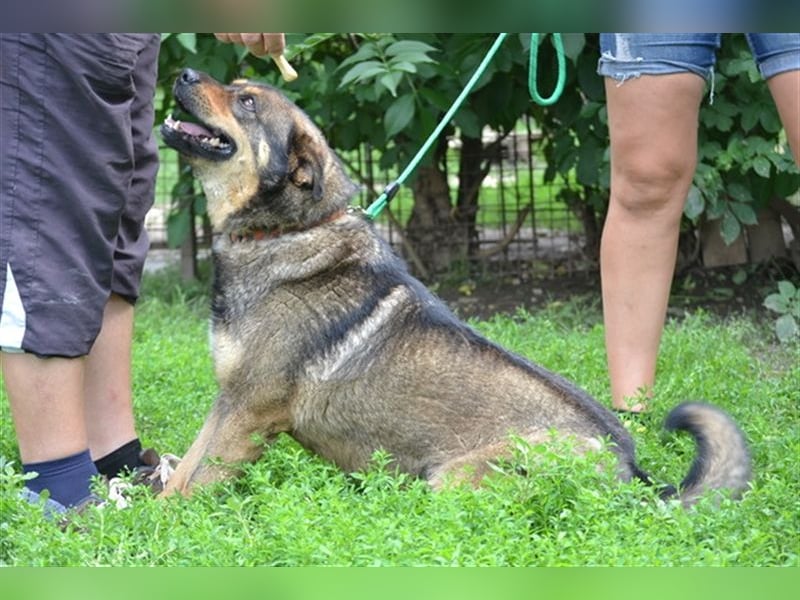 Flora SI - Ältere Lady möchte endlich nach Hause!