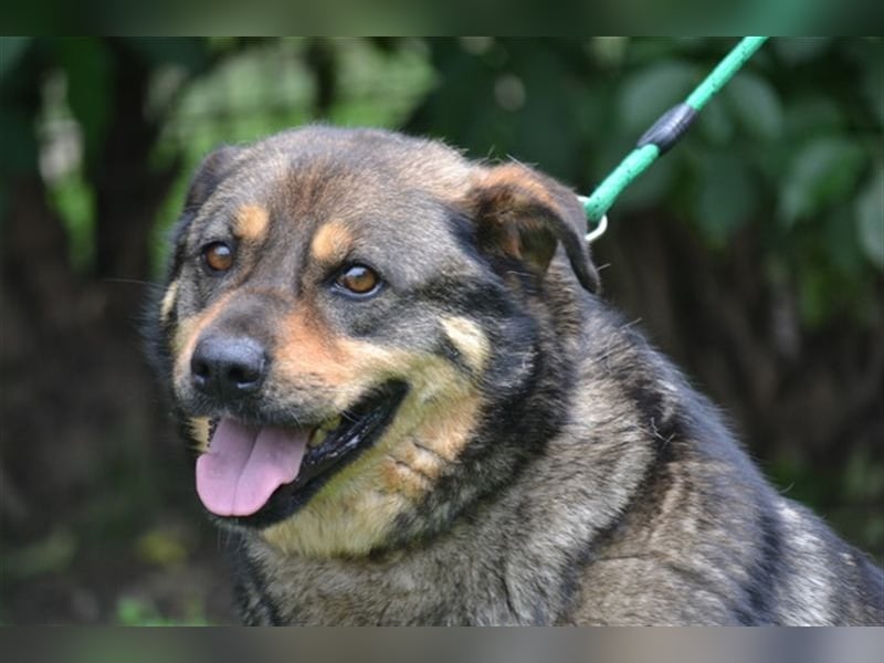 Flora SI - Ältere Lady möchte endlich nach Hause!