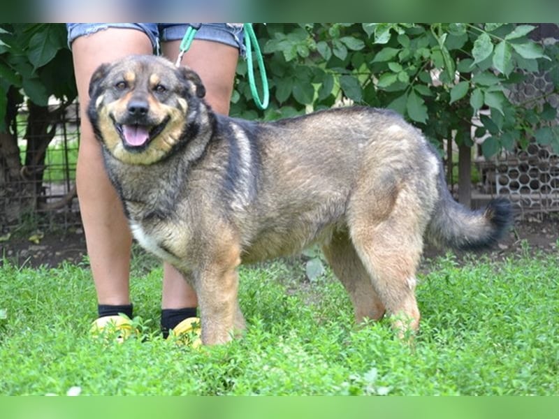Flora SI - Ältere Lady möchte endlich nach Hause!