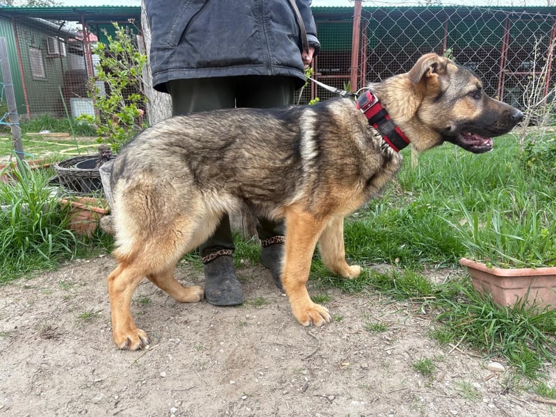 Kara KK – runter von der Straße und rein ins Körbchen