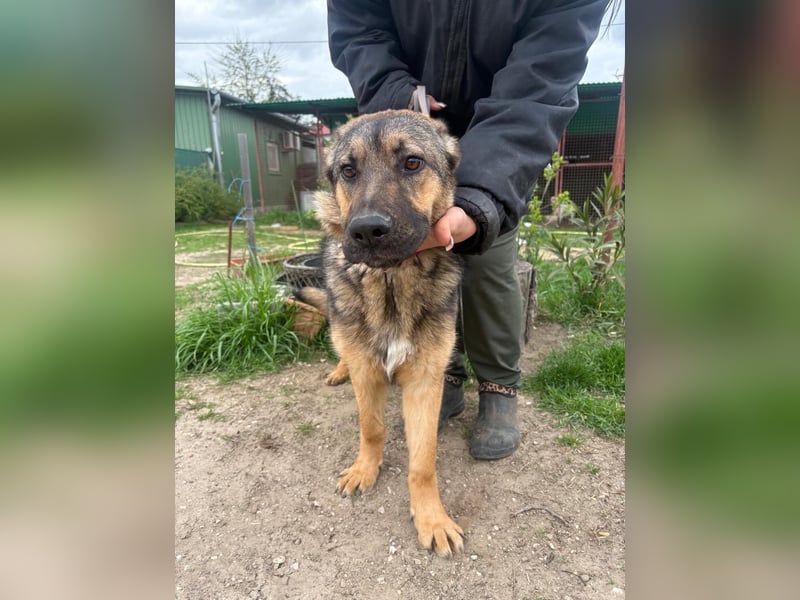 Kara KK – runter von der Straße und rein ins Körbchen