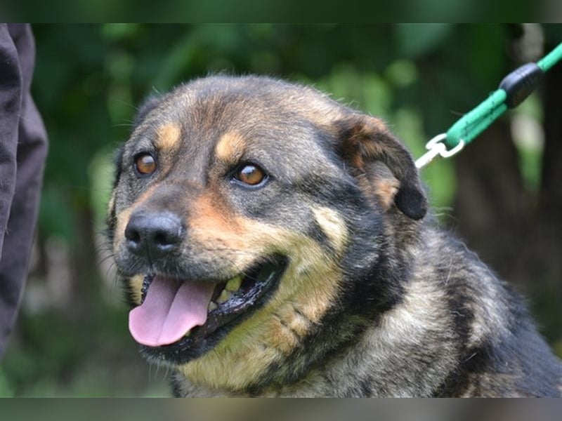 Flora SI - Ältere Lady möchte endlich nach Hause!