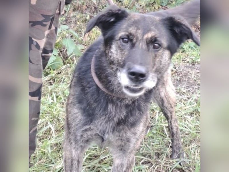 BARON WURDE ALLEINE ZURÜCKGELASSEN