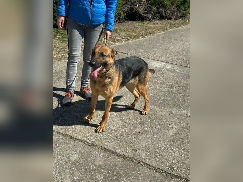 Sky, geb. 06/2025, 60 cm, sucht liebevolle Menschen