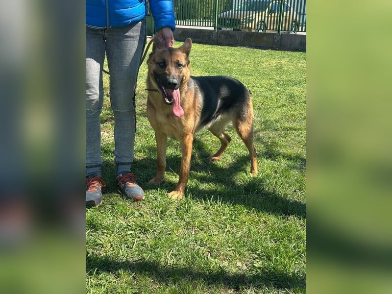 Sky, geb. 06/2025, 60 cm, sucht liebevolle Menschen