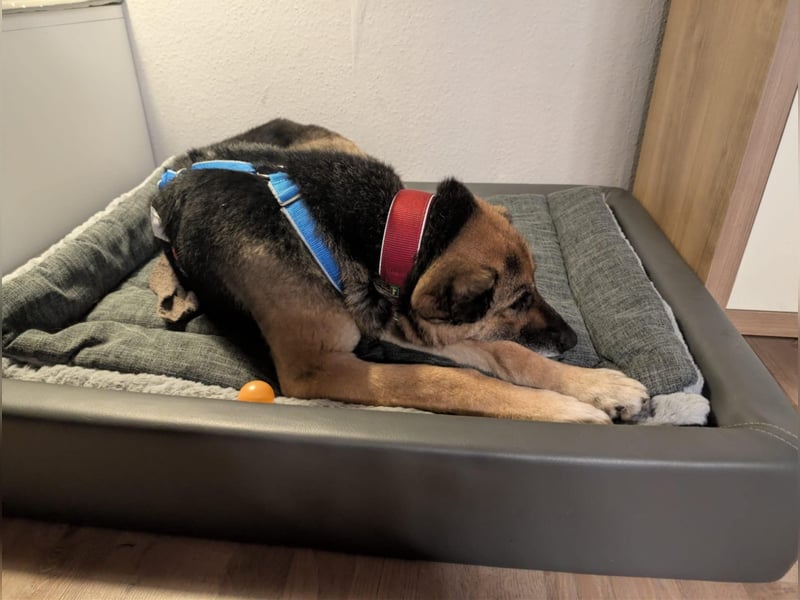 Helena, geb. 04.2026, 63cm, sucht ihr ihr Glück