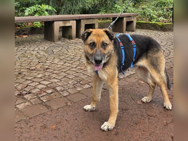 Helena, geb. 04.2026, 63cm, sucht ihr ihr Glück